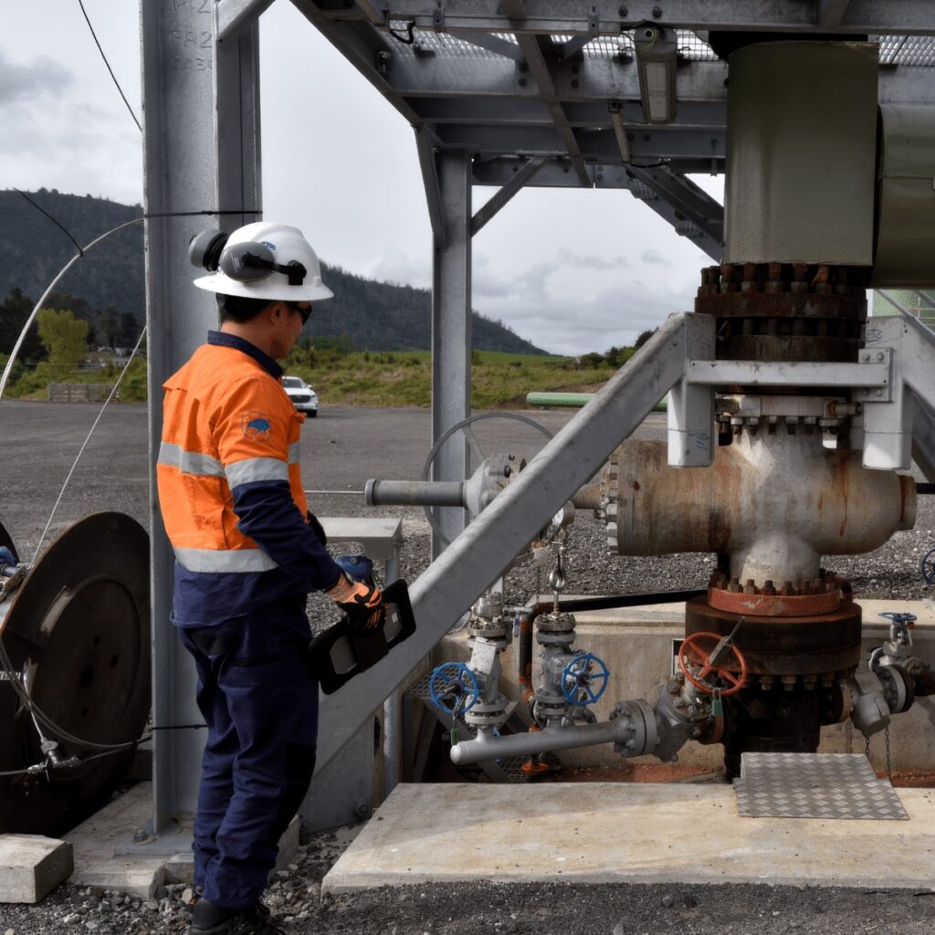 Western Energy Consulting Services